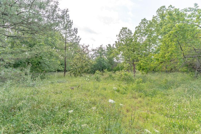 1788 Weatherstone Rd, Mammoth Spring, AR 72554 - view of local wilderness