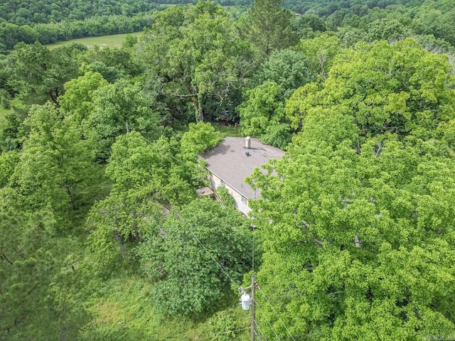 1788 Weatherstone Rd, Mammoth Spring, AR 72554 - view from above of property with a heavily wooded area
