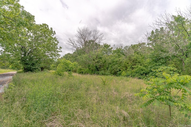 1788 Weatherstone Rd, Mammoth Spring, AR 72554 - view of nature