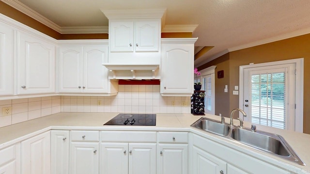 4335 Gazebo Dr, Conway, AR 72034 - kitchen with a sink, tasteful backsplash, light countertops, and crown molding