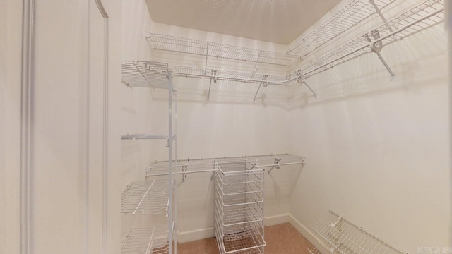 4335 Gazebo Dr, Conway, AR 72034 - view of spacious closet