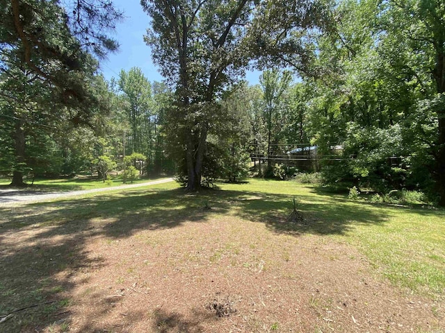 47 Eagle Ln, Mount Ida, AR 71957 - view of green lawn