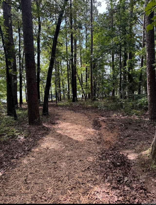 2634 Tannenbaum, Drasco, AR 72530 - view of undeveloped land