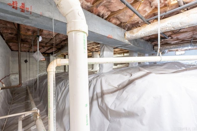 1244 N Scenic Dr, Heber Springs, AR 72543 - view of inside crawl space