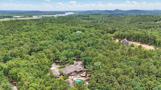 13200 Bart Moreland Dr, Roland, AR 72135 - drone / aerial view of a forest and a large body of water