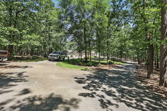 13200 Bart Moreland Dr, Roland, AR 72135 - view of asphalt road