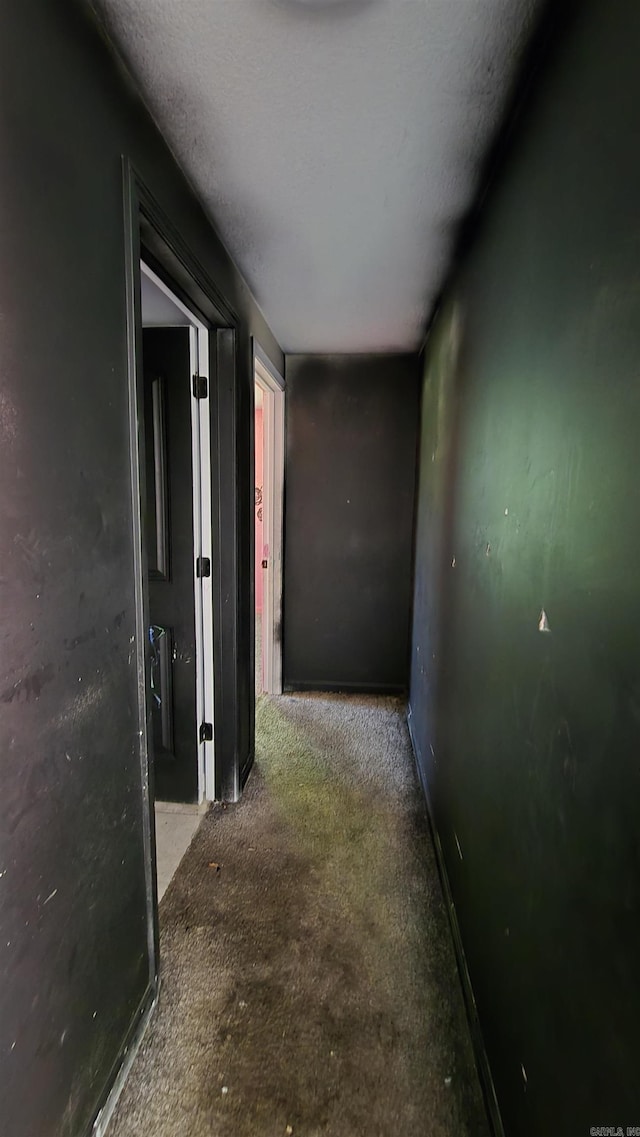 302 SW Broad St, Hoxie, AR 72433 - hall with carpet floors and baseboards