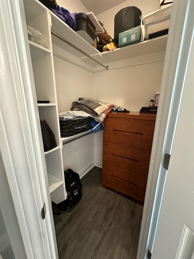 1008 Wildcat Ln, Jonesboro, AR 72405 - walk in closet featuring dark wood-style floors