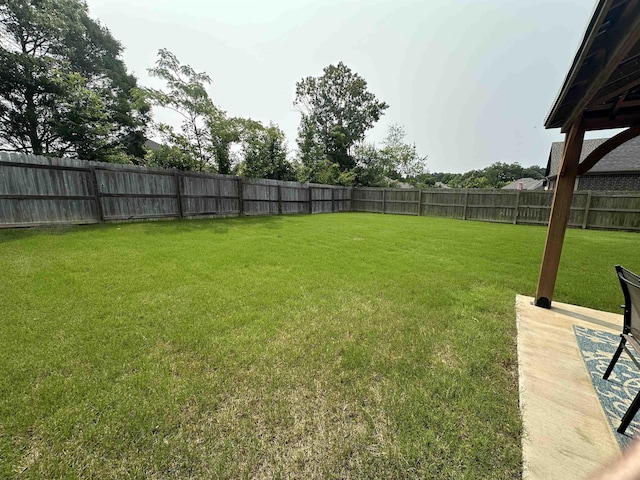 1008 Wildcat Ln, Jonesboro, AR 72405 - view of yard