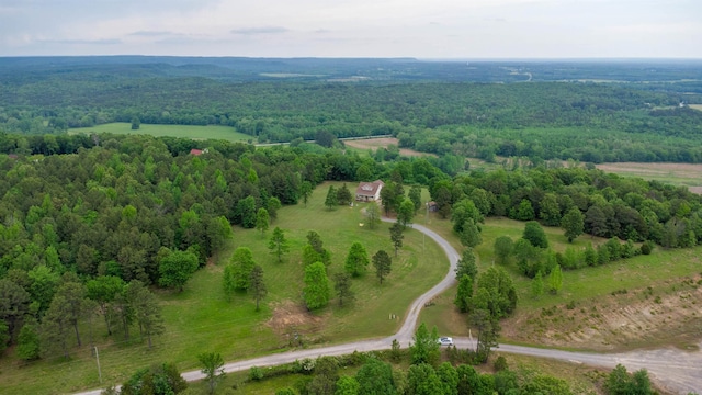 125 Gassaway, Searcy, AR 72143 - drone / aerial view of a heavily wooded area