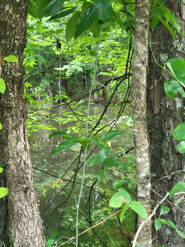 266 Mariposa Loop, Bee Branch, AR 72013