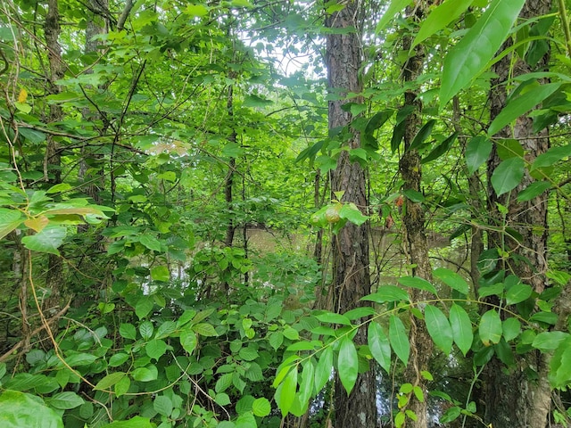 266 Mariposa Loop, Bee Branch, AR 72013