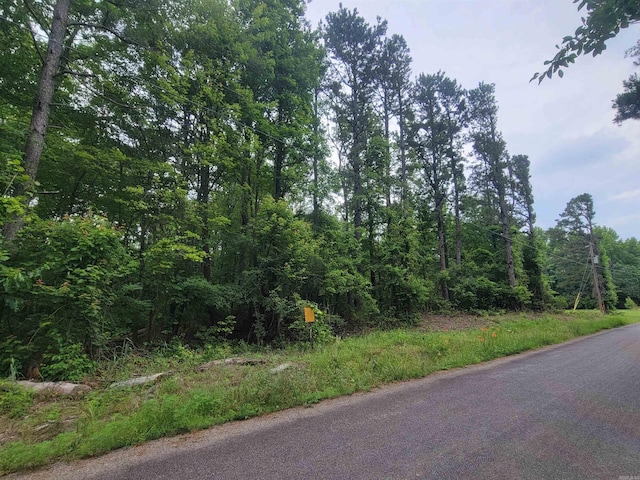 266 Mariposa Loop, Bee Branch, AR 72013