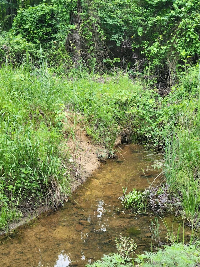 266 Mariposa Loop, Bee Branch, AR 72013