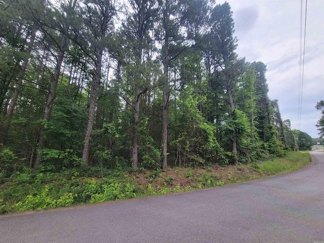 266 Mariposa Loop, Bee Branch, AR 72013