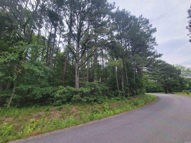 266 Mariposa Loop, Bee Branch, AR 72013