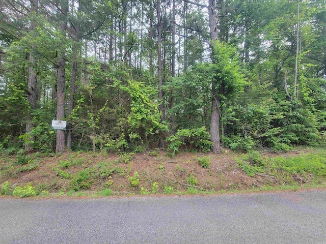 266 Mariposa Loop, Bee Branch, AR 72013