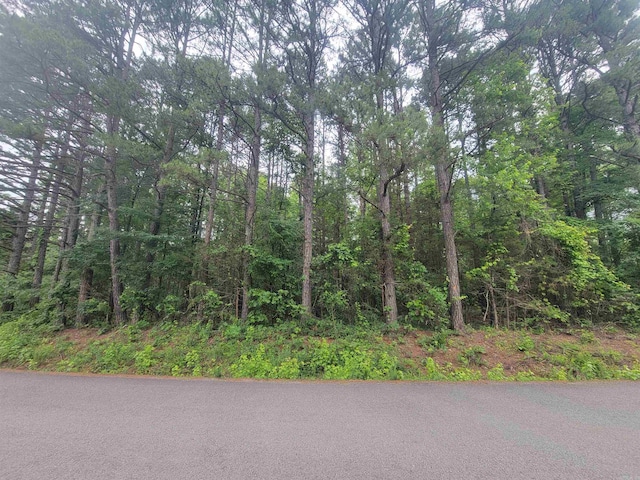 266 Mariposa Loop, Bee Branch, AR 72013