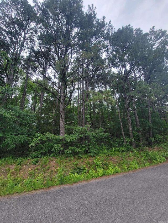 266 Mariposa Loop, Bee Branch, AR 72013