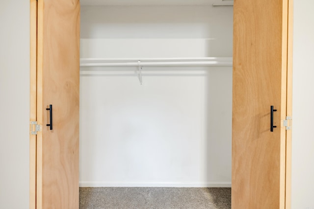 3316 Carmine Cv, Bryant, AR 72202 - view of closet