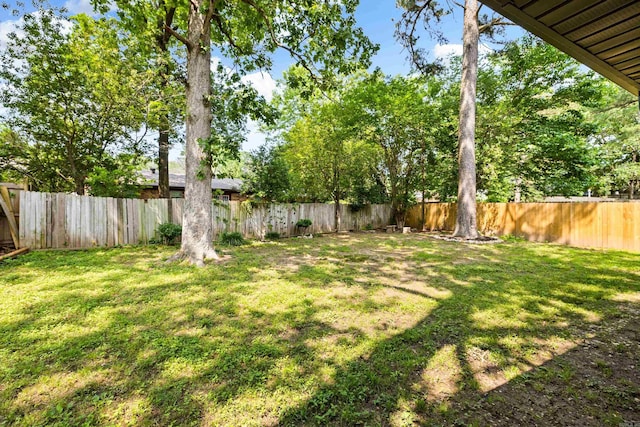 3316 Carmine Cv, Bryant, AR 72202 - view of yard