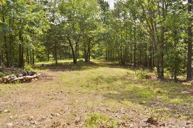 312 Broken Bow Trl, Lonsdale, AR 72087 - view of yard with a view of trees