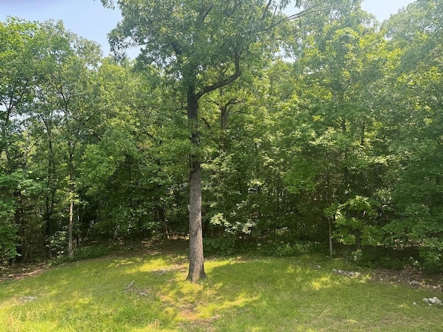 53 Iowa Dr, Cherokee Village, AR 72529 - view of grassy yard featuring a wooded view