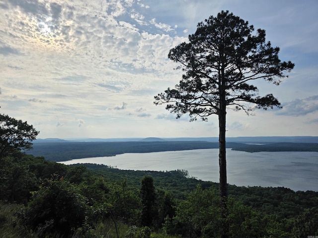630 Cliffview Dr, Quitman, AR 72131 - water view with a heavily wooded area