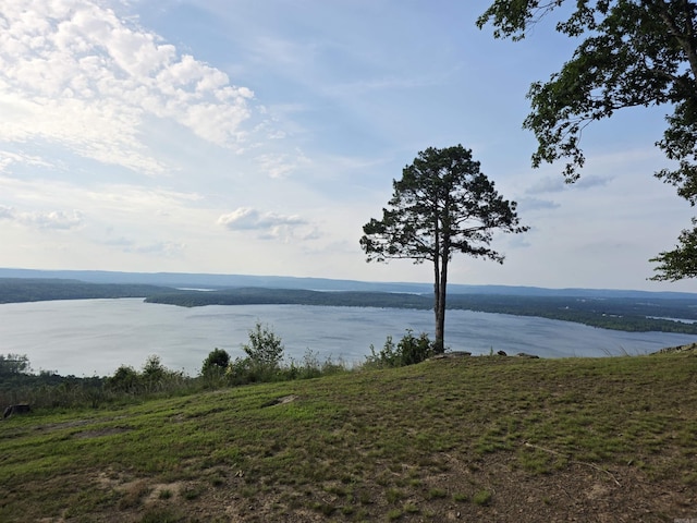 630 Cliffview Dr, Quitman, AR 72131 - water view