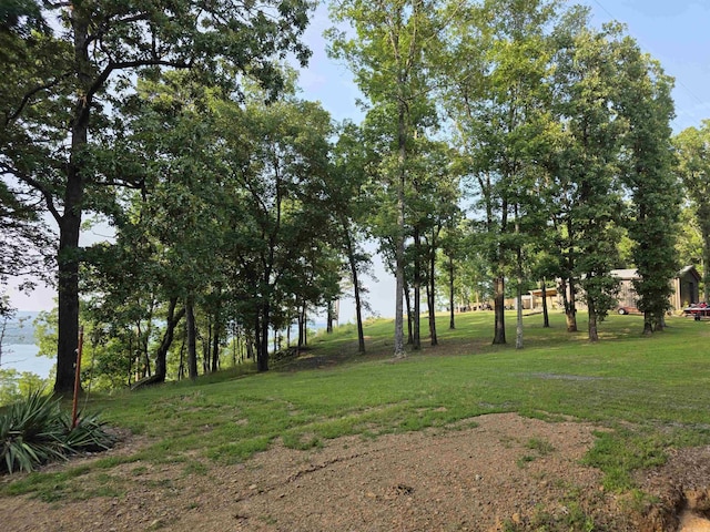 630 Cliffview Dr, Quitman, AR 72131 - view of grassy yard