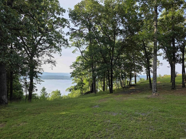 630 Cliffview Dr, Quitman, AR 72131 - water view