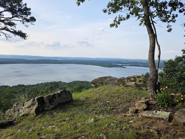 630 Cliffview Dr, Quitman, AR 72131 - water view