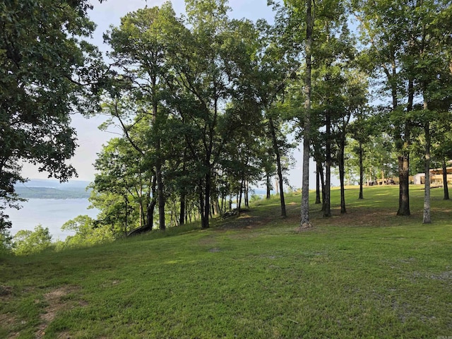 630 Cliffview Dr, Quitman, AR 72131 - view of green lawn