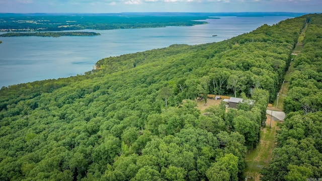630 Cliffview Dr, Quitman, AR 72131 - drone / aerial view of a forest and a large body of water