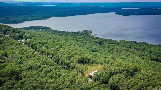 630 Cliffview Dr, Quitman, AR 72131 - aerial view of a forest and a large body of water
