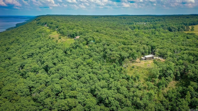 630 Cliffview Dr, Quitman, AR 72131 - aerial view of a heavily wooded area and a large body of water