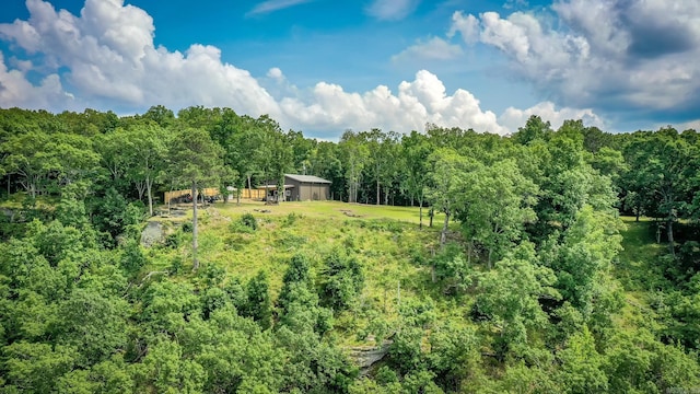 630 Cliffview Dr, Quitman, AR 72131 - view of yard with a view of trees