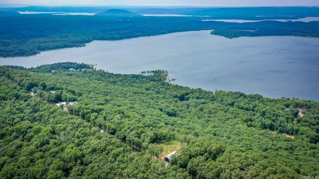 630 Cliffview Dr, Quitman, AR 72131 - aerial view of a forest and a nearby body of water
