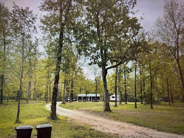 8923 Misenheimer Rd, Mountain View, AR 72560 - view of home's community with a yard and a forest view