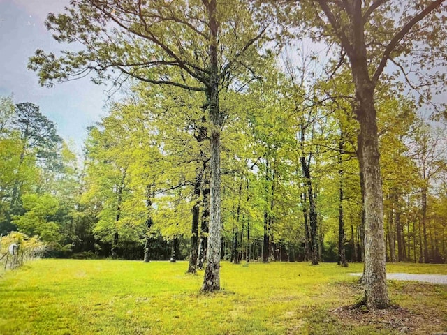 8923 Misenheimer Rd, Mountain View, AR 72560 - view of grassy yard featuring a view of trees