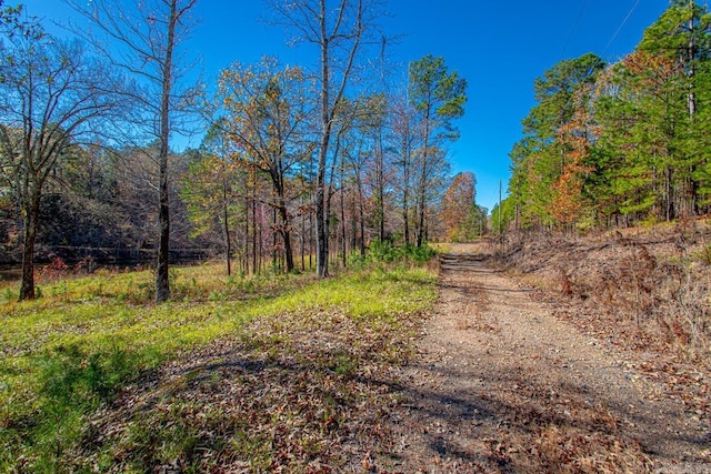 00 Brush Mountain Trl, Paron, AR 72122