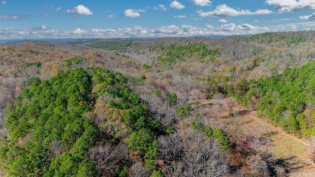 00 Brush Mountain Trl, Paron, AR 72122