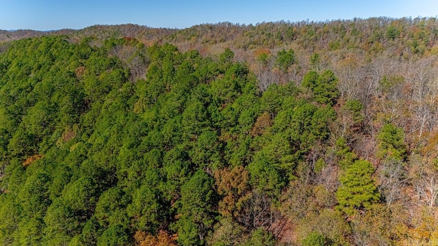 00 Brush Mountain Trl, Paron, AR 72122