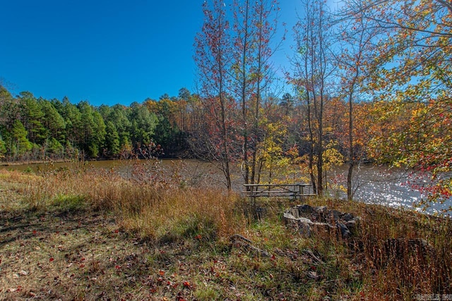 00 Brush Mountain Trl, Paron, AR 72122