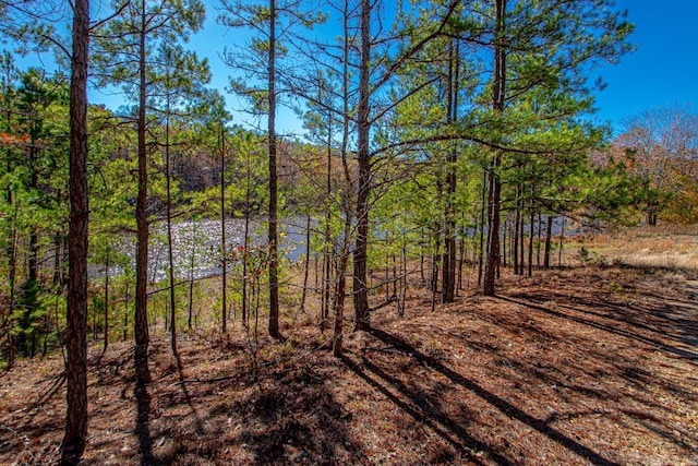 00 Brush Mountain Trl, Paron, AR 72122