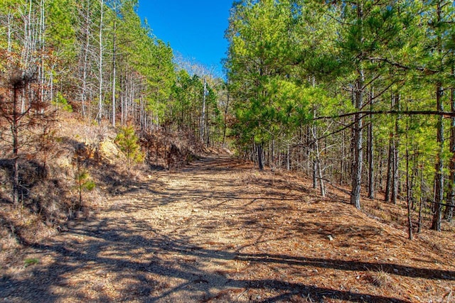 00 Brush Mountain Trl, Paron, AR 72122