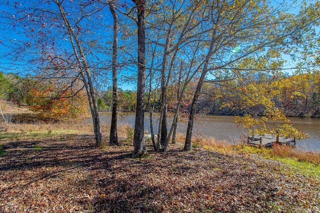00 Brush Mountain Trl, Paron, AR 72122