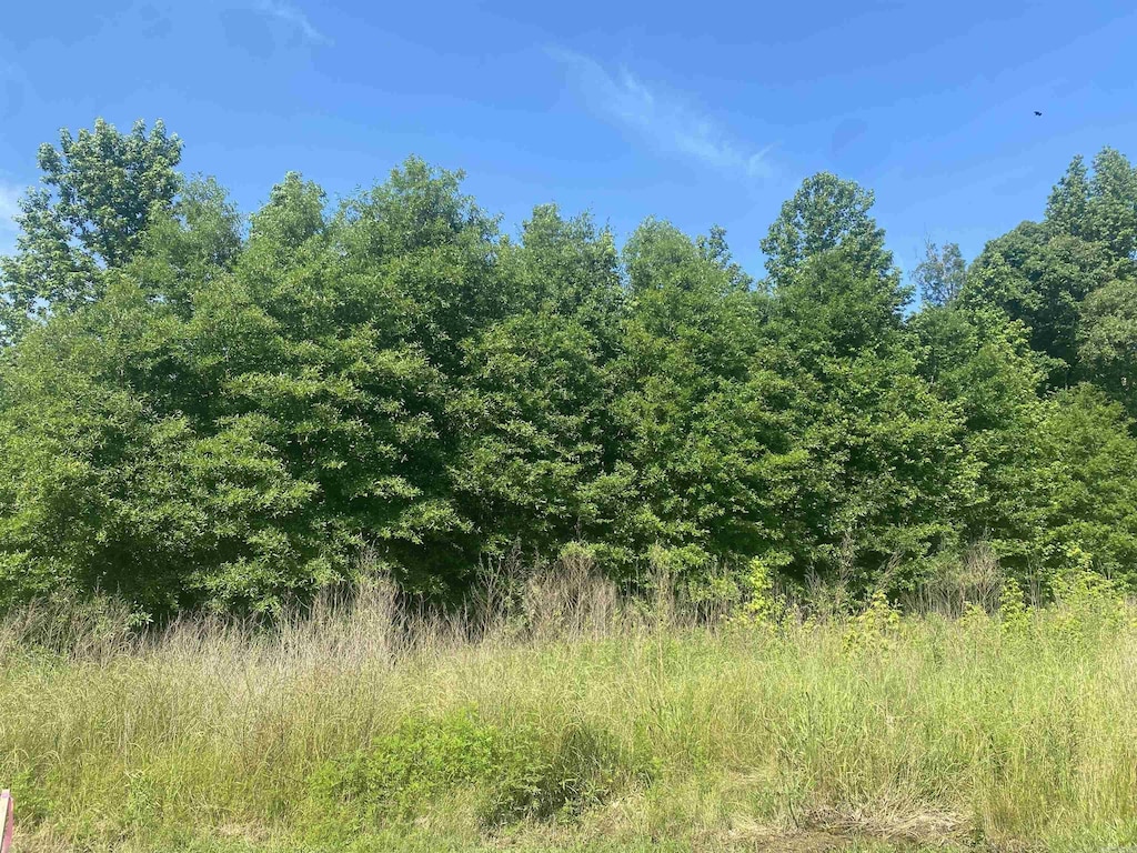 LOT24AND25 Cinel Loop, Austin, AR 72007