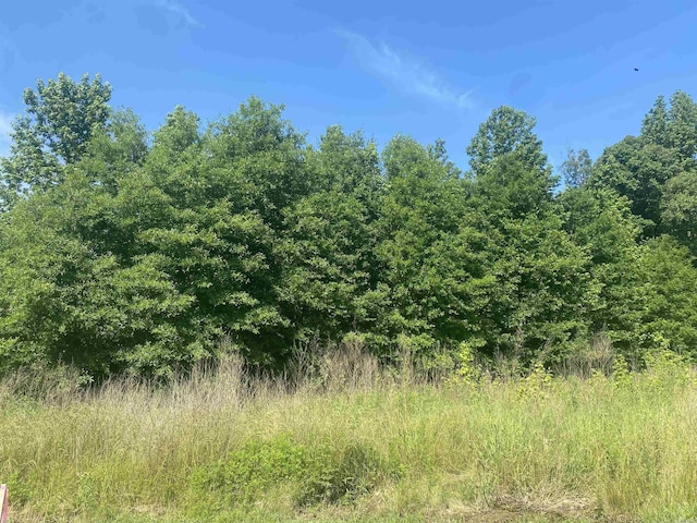 LOT24AND25 Cinel Loop, Austin, AR 72007