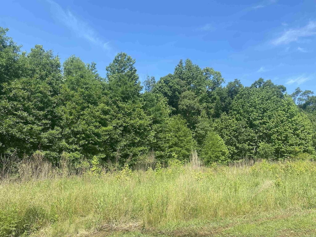 LOT24AND25 Cinel Loop, Austin, AR 72007